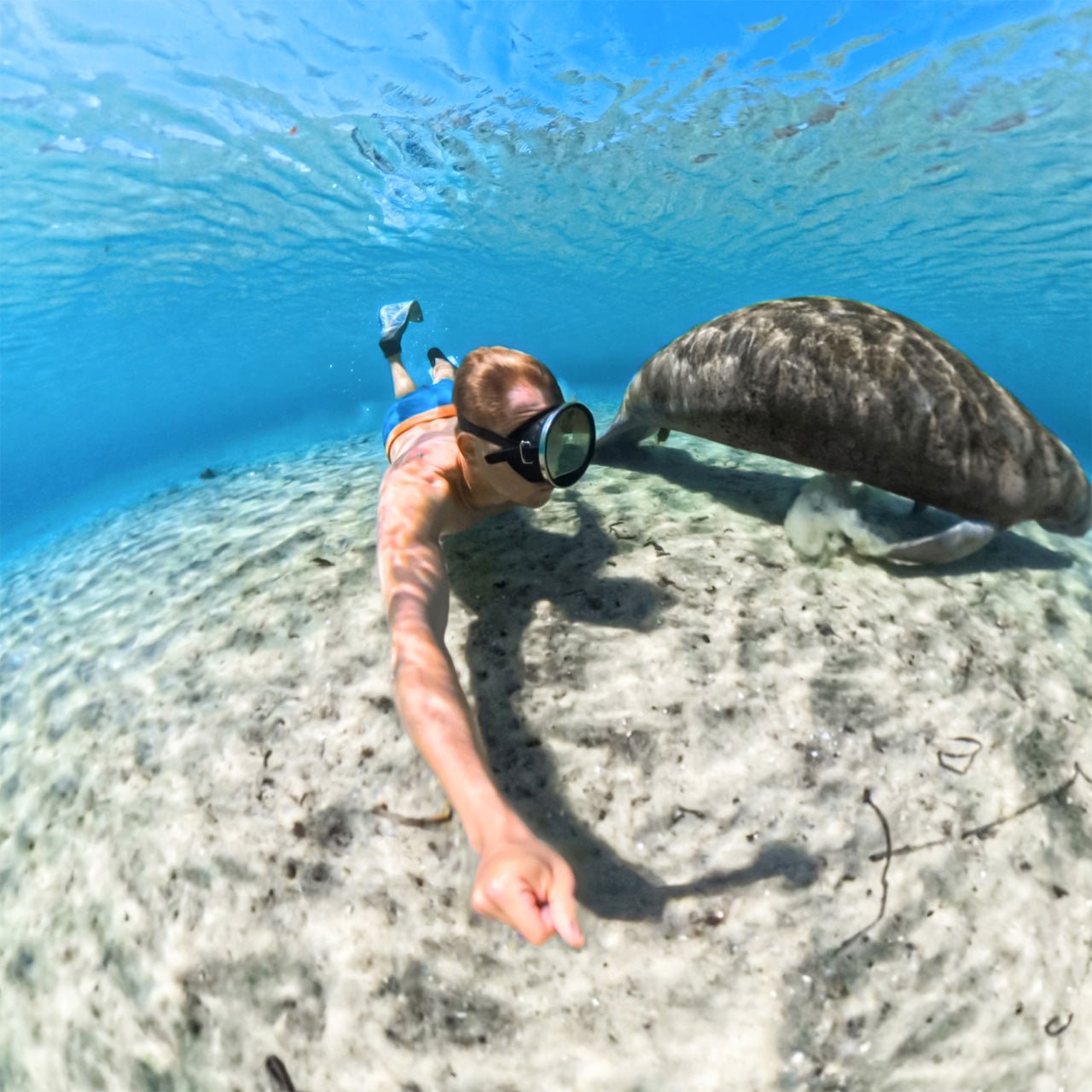 Insta360 Invisible Dive Case for X5