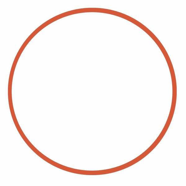Ikelite DC200, DC572 O-ring