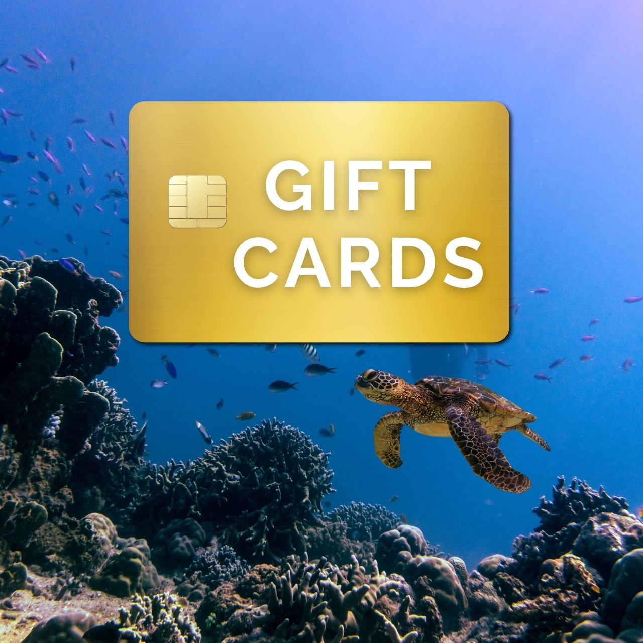 Digital Diver Gift Card