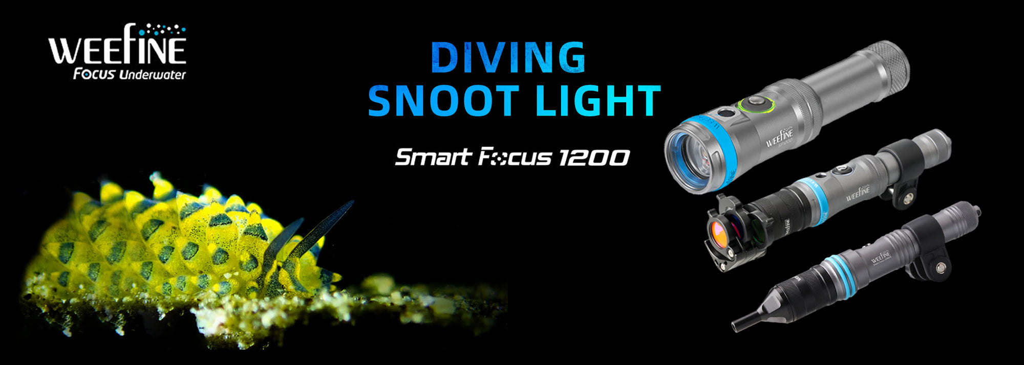 Weefine Snoot Video Light