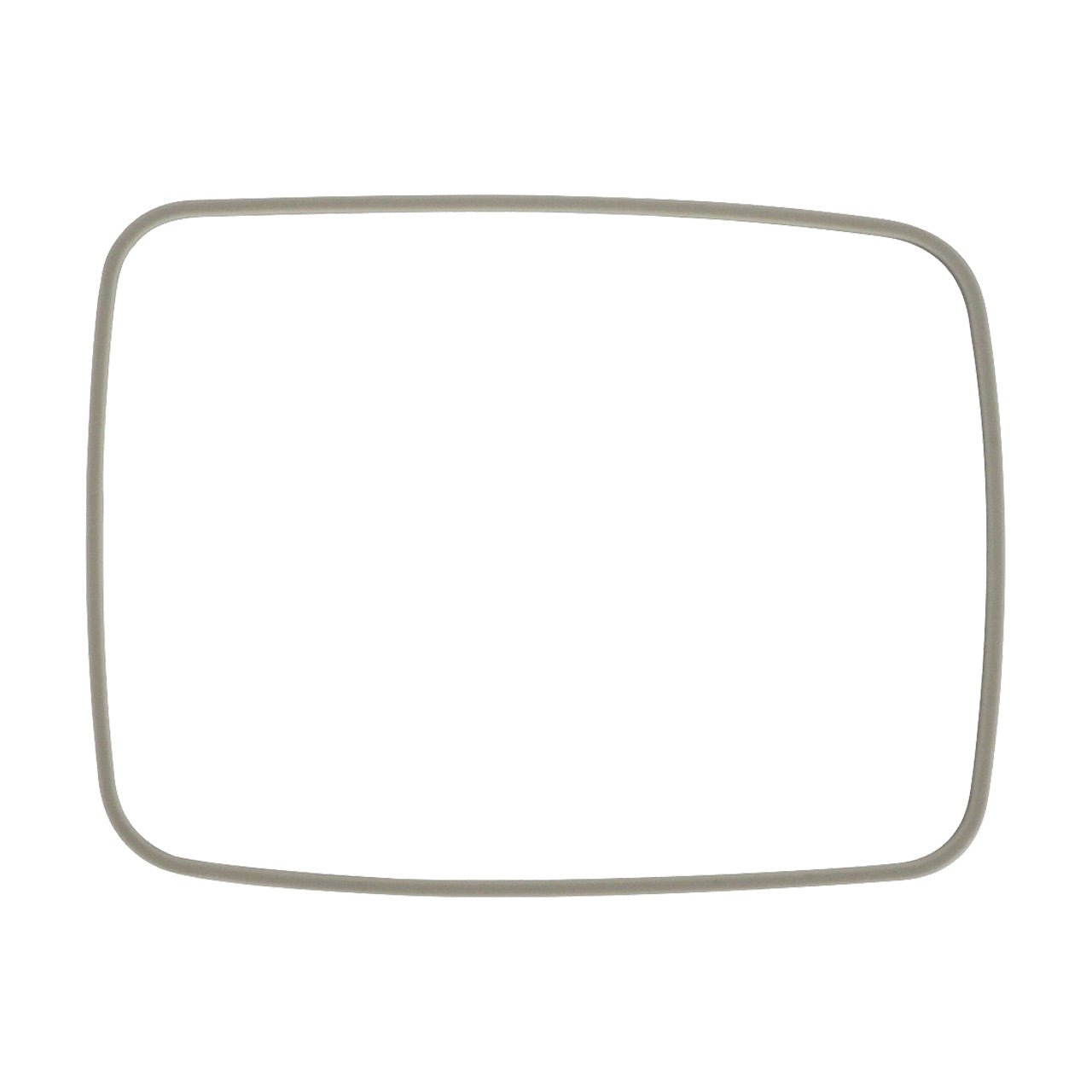 AOI O-Ring for OM1 & OM1 II Housing (Secondary O-Ring) SSR-03