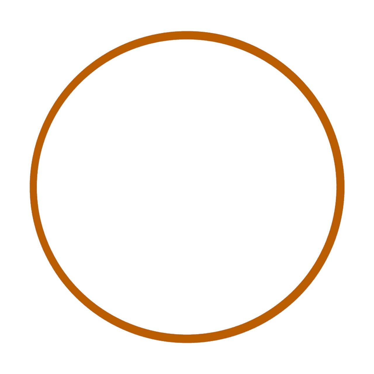 Ikelite Focus Ring Lock for Sony FE 100mm Macro Lens